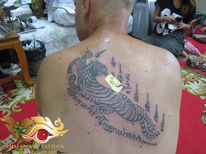 Ajarn Noo Kanpai Single Thai Tiger Tattoo Looking Back