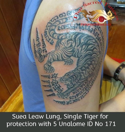 Suea Leaw Lung Single Tiger Sak Yant Thai Tattoo
