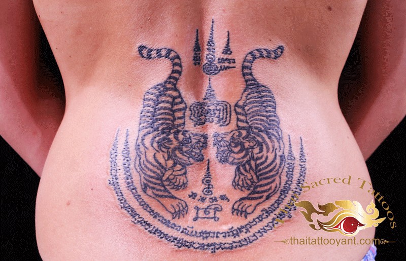 Twin Tigers Thai tattoo