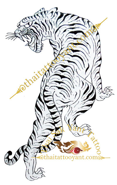 Suea Leaw Lung Single Tiger Looking Back Left Thai Tattoo Sak Yant design 11