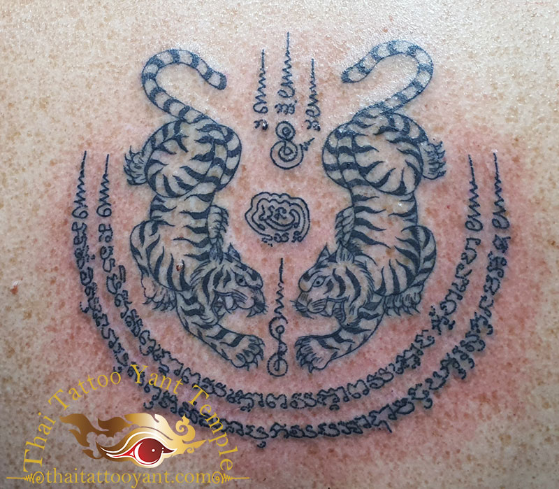 Sak Yant Tattoo Twin Tigers