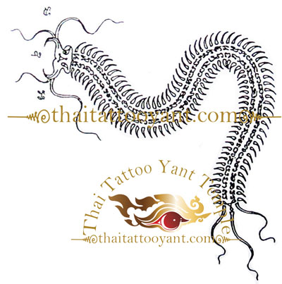 Centipede Thai Tattoo Sak Yant