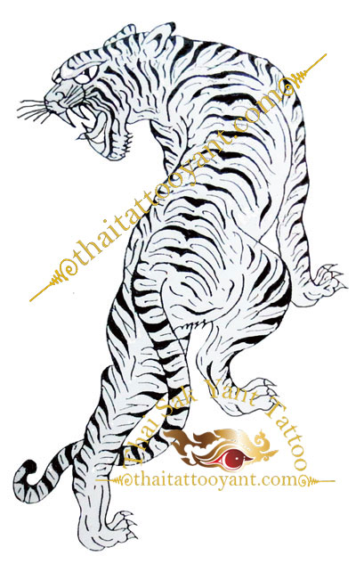 Suea Leaw Lung Single Tiger Looking Back Left Thai Tattoo Sak Yant design