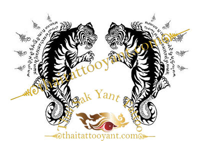 Suea Koo Thai Sak Yant Facing Twin Tiger Thai Tattoo design