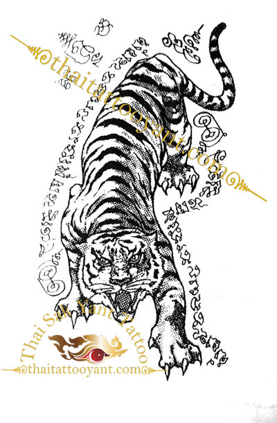 Sak Yant Tattoo Single Tiger Looking Down with fierce face