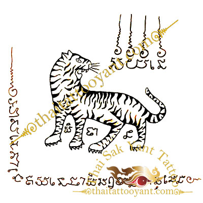 Suea Liaw Lung Tiger Looking back or Pha Yaa Suea Khrong Tiger Thai Tattoo Sak Yant Design