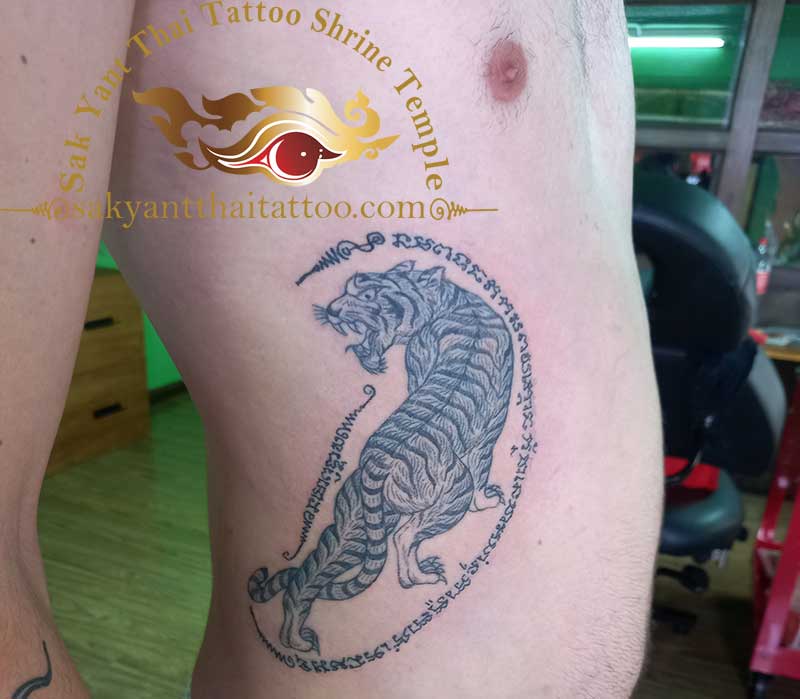 Tiger Suea Thai Sak Yant Tattoo looking back
