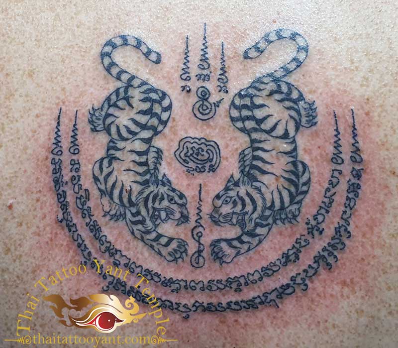 Sak Yant Tattoo Twin Tigers