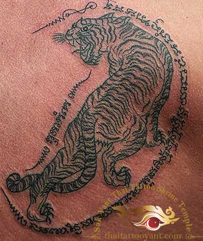 Sak Yant Thai Tattoo Tiger Looking Back Left