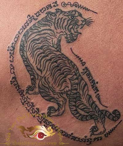 Sak Yant Thai Tattoo Tiger Looking Back Right