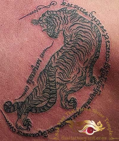 Sak Yant Thai Tattoo Thailand Tiger Looking Back Left
