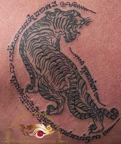 Sak Yant Thai Tattoo Thailand Tiger Looking Back Right