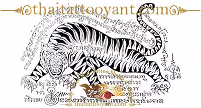 Sak Yant Tigers