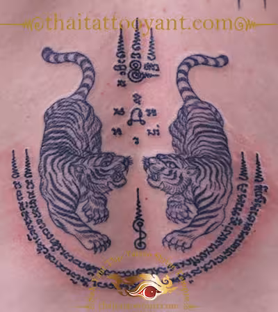 Thai Tattoo Tiger Twin Tiger Tattoo Thailand