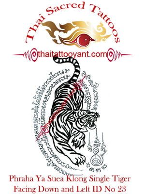 Phraha Ya Suea Klong Single Tiger Thai Tattoo Yant.
Facing Down and Left ID No 23
