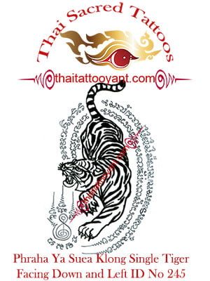 Phraha Ya Suea Klong Single Tiger Thai Tattoo Yant. Facing Down and Right ID No 245