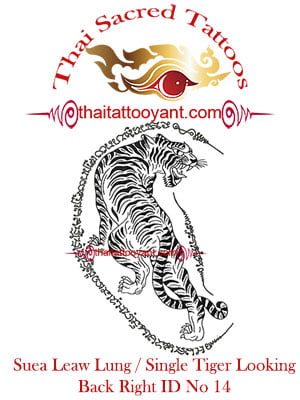 Single Tiger Suea Leaw Thai Tattoo Yant ID No 14 Single Tiger Suea Leaw Thai Tattoo Yant ID No 14
