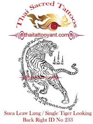 Single Tiger Suea Leaw Thai Tattoo Yant ID No 233 Single Tiger Suea Leaw Thai Tattoo Yant ID No 233
