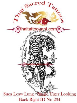 Single Tiger Suea Leaw Thai Tattoo Yant ID No 234 Single Tiger Suea Leaw Thai Tattoo Yant ID No 234