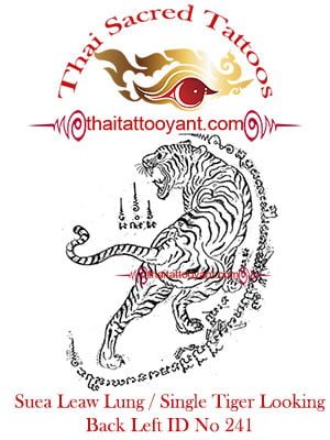 Single-Tiger-Suea-Leaw-Looking Back Left, Thai-Tattoo-Yant-ID-No-241 Single-Tiger-Suea-Leaw-Looking Back Left, Thai-Tattoo-Yant-ID-No-241