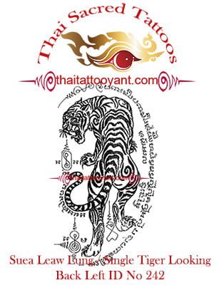 Single-Tiger-Suea-Leaw-Looking Back Left, Thai-Tattoo-Yant-ID-No-242 Single-Tiger-Suea-Leaw-Looking Back Left, Thai-Tattoo-Yant-ID-No-242
