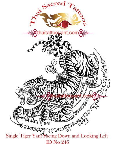 Single Tiger Yant Facing Down and Looking Left ID No 246 Single Tiger Yant Facing Down and Looking Left ID No 246