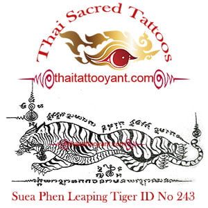 Suea Phen Leaping Tiger Left Thai Tattoo ID No 243 Suea Phen Leaping Tiger Left Thai Tattoo ID No 243